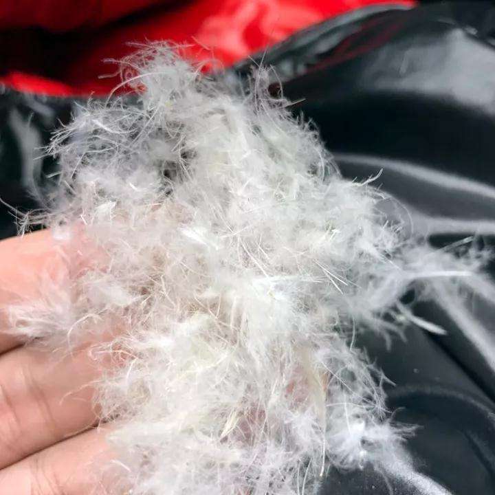 充绒量绒子含量怎么区分,如何从材质上鉴别羽绒服质量好坏