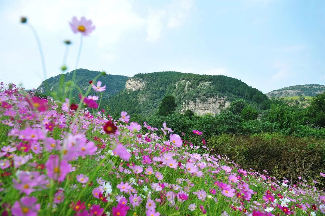 济南必去网红打卡地,济南网红打卡地经三纬三
