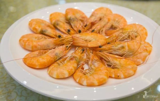 山东东营位置,这就是东营