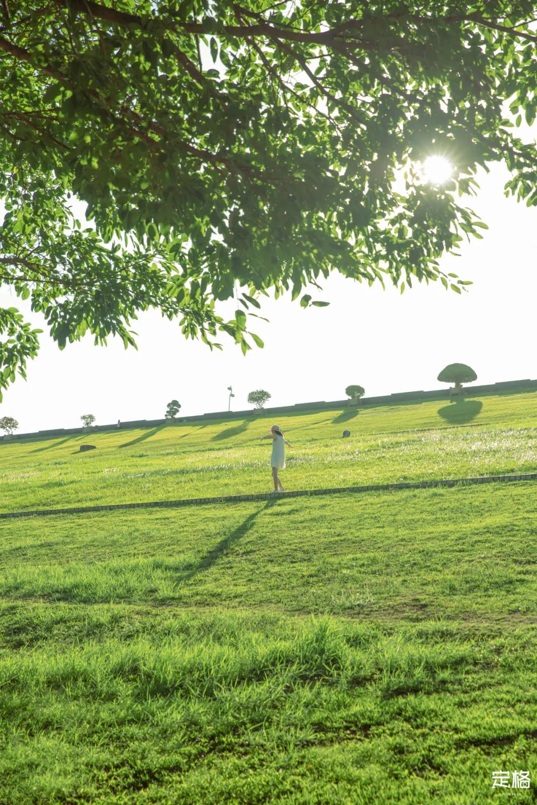 深圳梅林水库有山溪吗,深圳梅林水库在哪个区