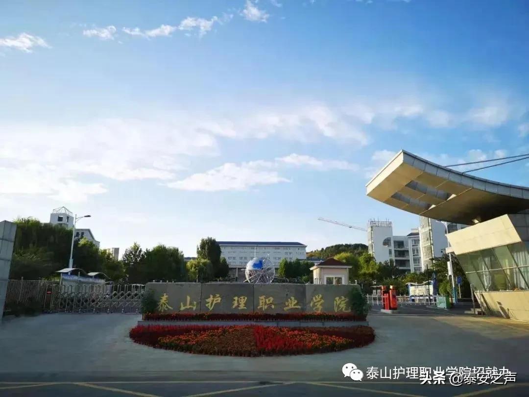 泰山护理职业学院是单招吗,泰山护理职业学院单招招生简章