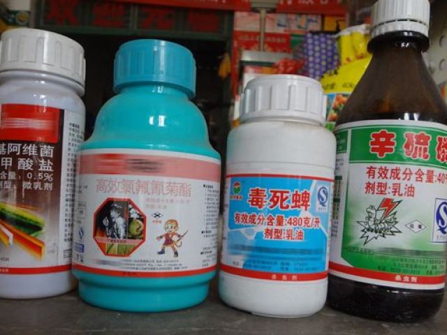 用农药注意事项大全有哪些,用农药打药注意事项是什么