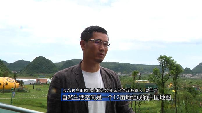 金鸡农庄亲子直播,金鸡农庄亲子农场最新视频