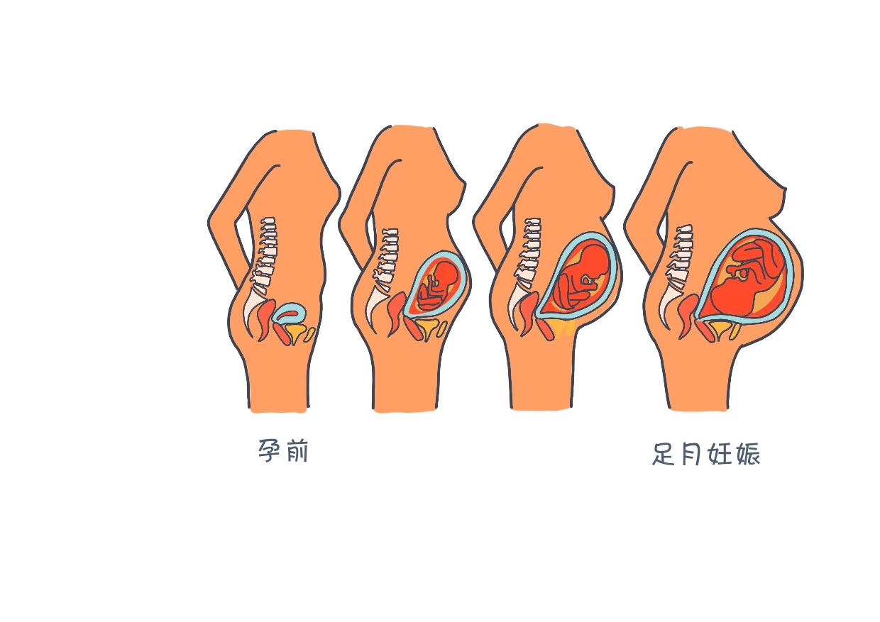 人体各部位的秘密,人体的所有秘密