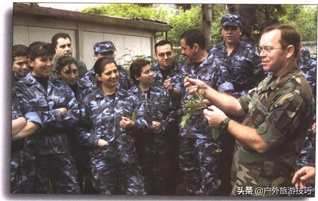 实用野外植物手册推荐,野外有毒植物盘点