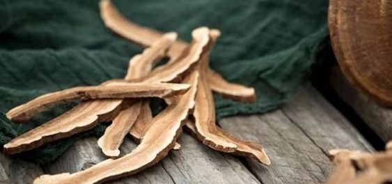 灵芝茶的养生方法,每天一杯灵芝茶