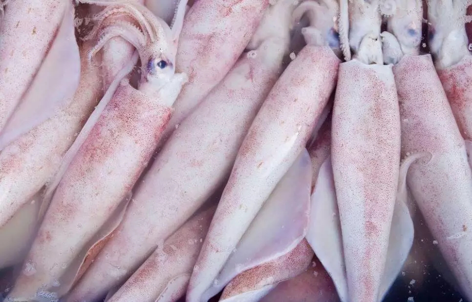 防城港市海鲜怎么挑,防城港海鲜扫货攻略附海鲜吃法