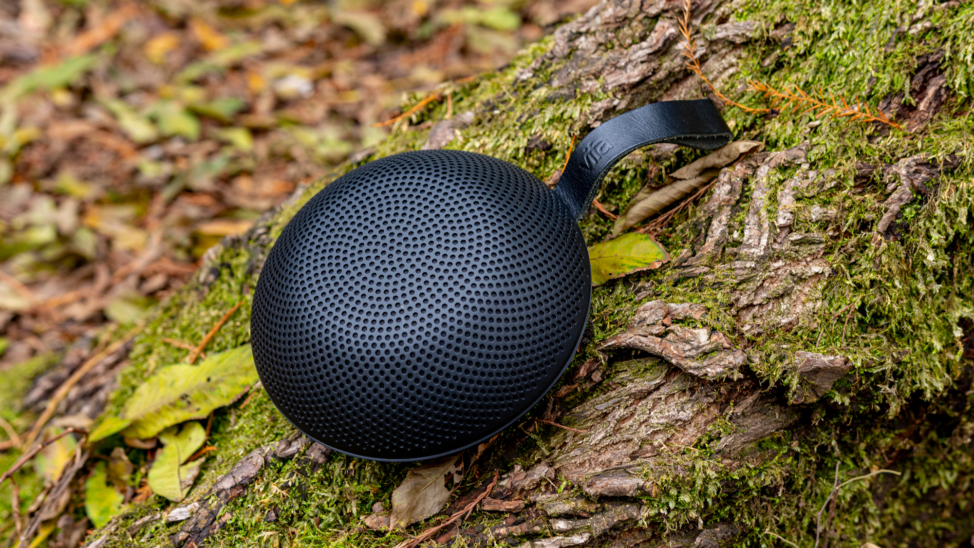 雷克雅音箱评测,雷克雅未克蓝牙音箱有底噪吗