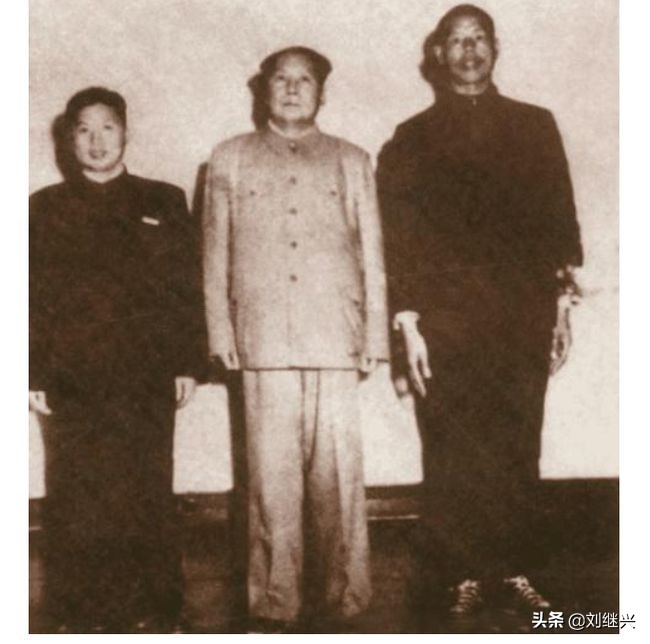 他是毛主席的堂弟，身高近两米，被打成“贪污犯”后才暴露了身份