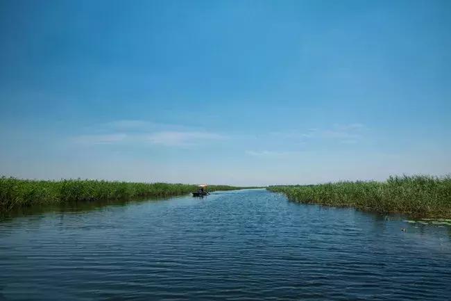 白洋淀荷花淀,荷花淀白洋淀纪事