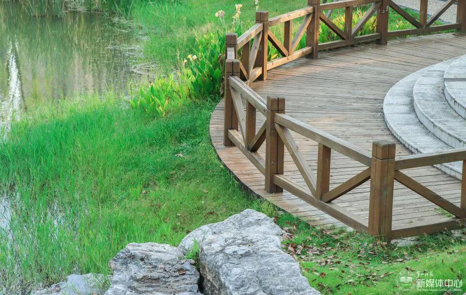 2020年夏季高考报考贴士！湖南第一师范学院2020年高招招生简章