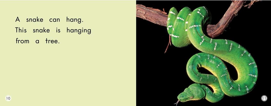 小怪物英语绘本阅读,w字母英语绘本阅读