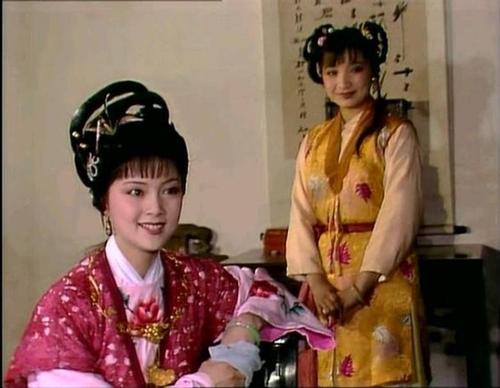 宝钗和钗黛合一,宝钗和黛玉之争