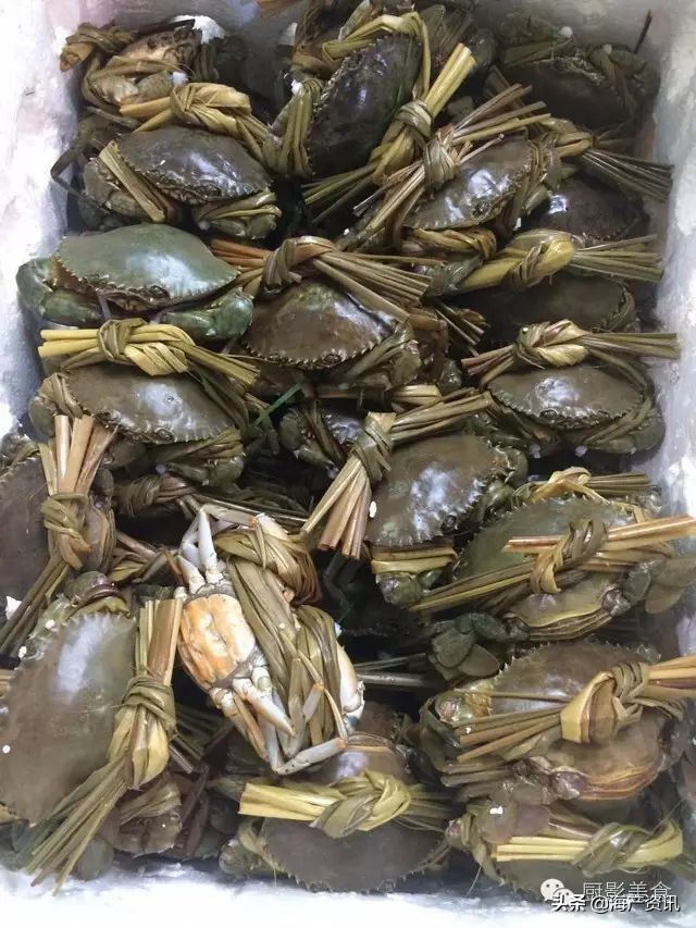 这些外形奇葩而味道超级赞的海鲜,广东十大硬核海鲜品种