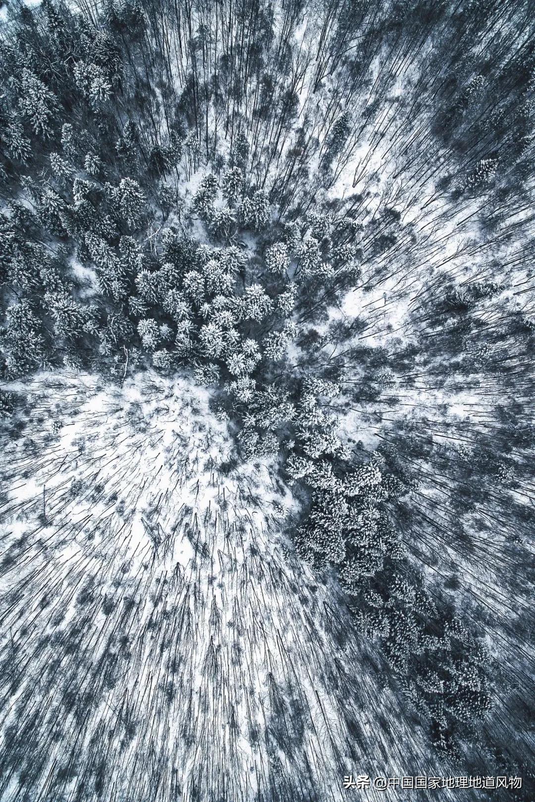 中国五大国家公园,中国十大私藏国家公园