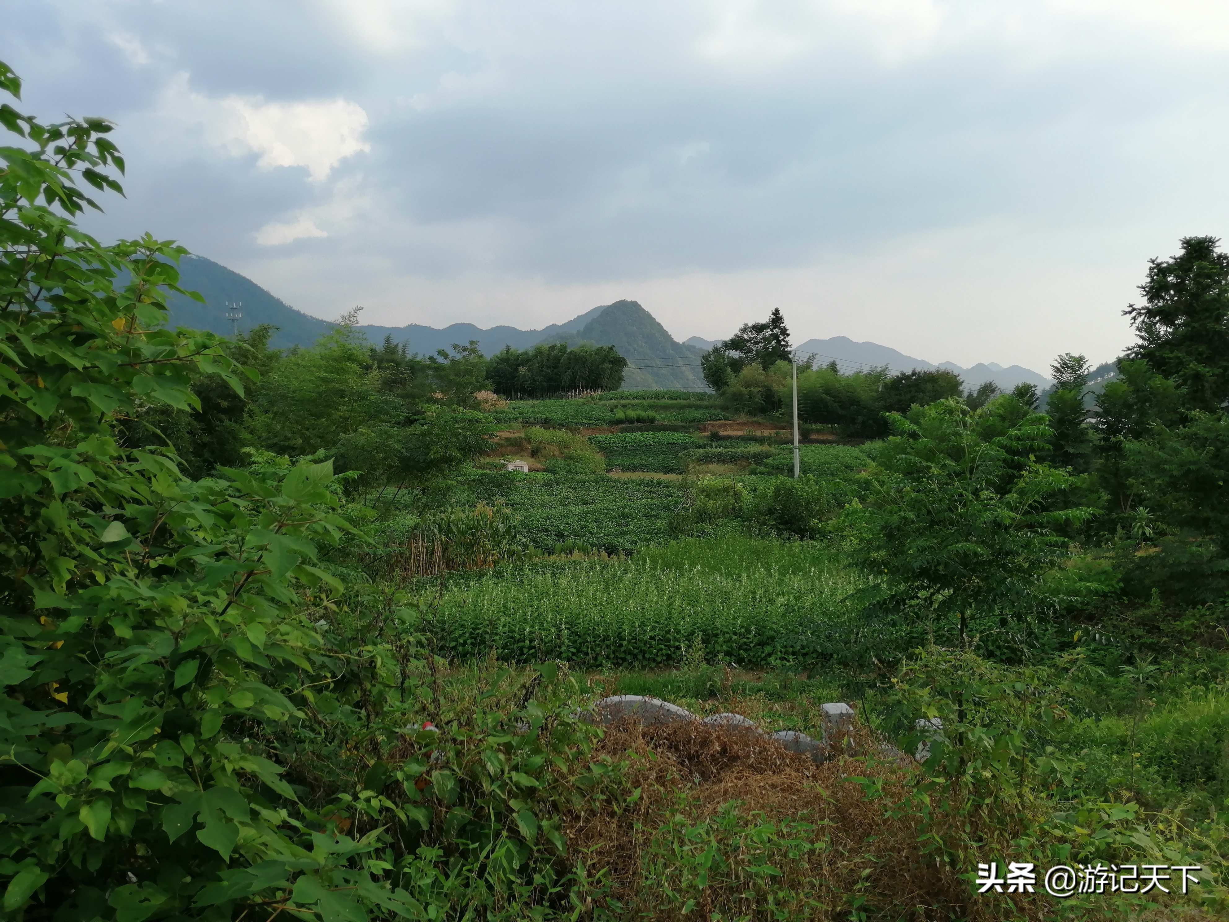 龙川新龙川,龙川东至龙川西