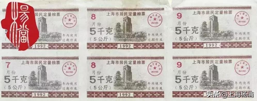 穿越到粮票年代的精彩小说,穿越回到用粮票年代的小说