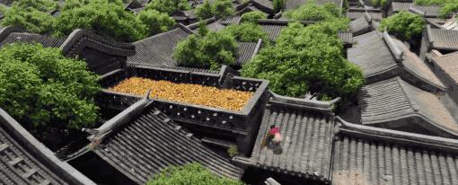 他不「卖肉」之后,还能不能行了?