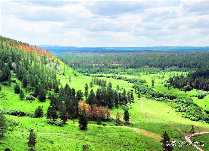 呼伦贝尔白桦林景区游玩时长,呼伦贝尔樟子松