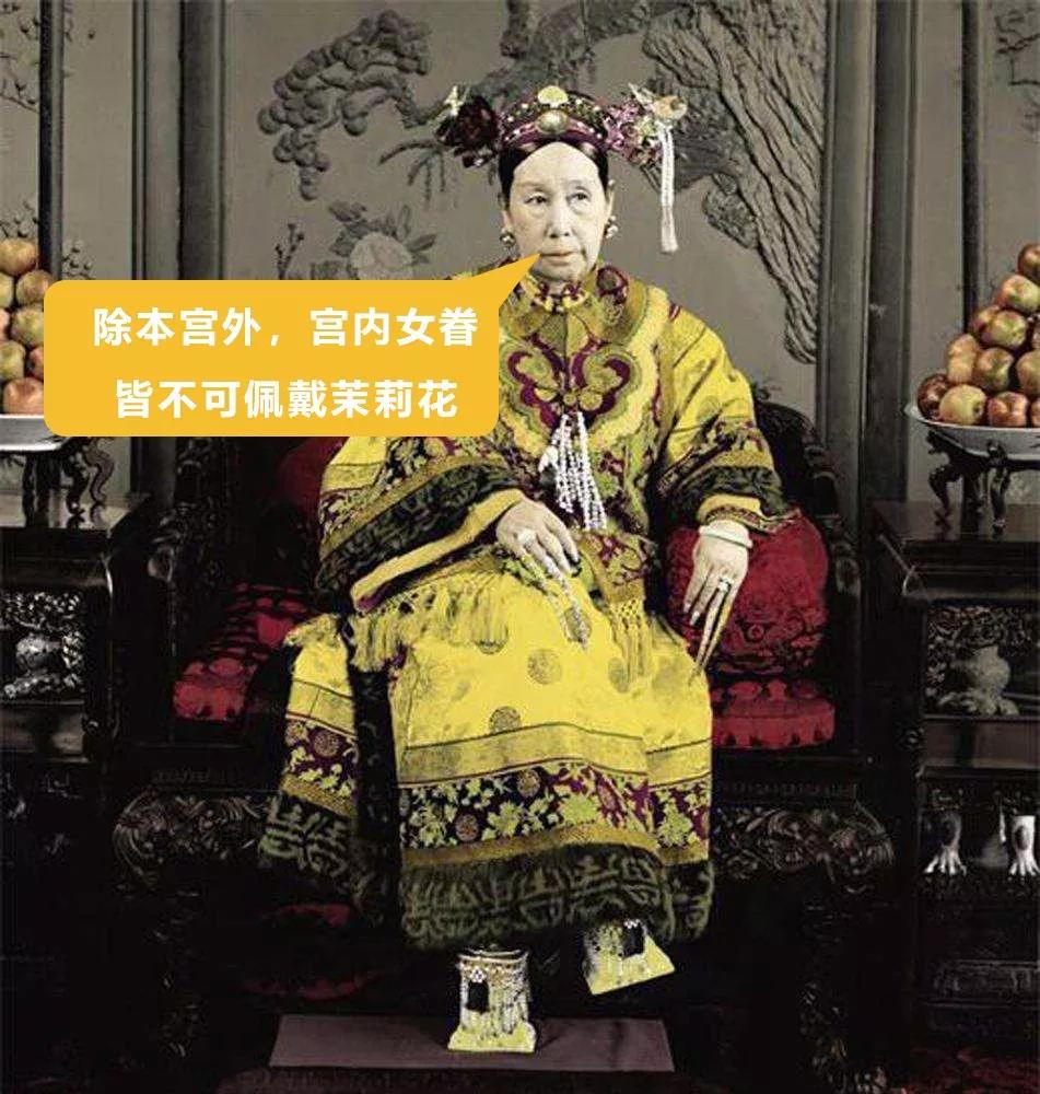 茉莉花茶入口微苦回味甘甜,正宗茉莉花茶老北京的味道