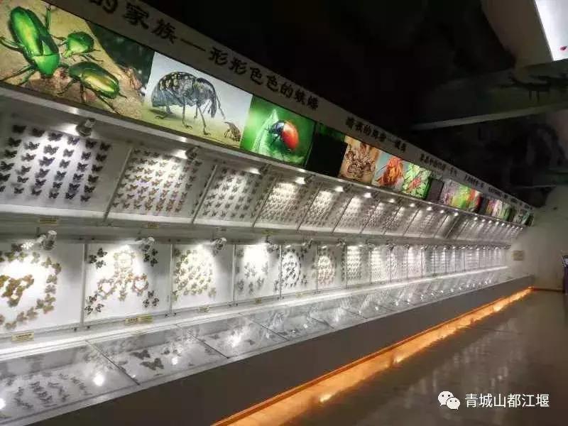 听我的，国庆这样玩！@24处都江堰好玩地，不止拜水问道、诗乡金秋，水灵妹带你解锁更多新耍法~