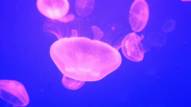 长沙市发布高温黄色预警,黄色高温预警是多少度