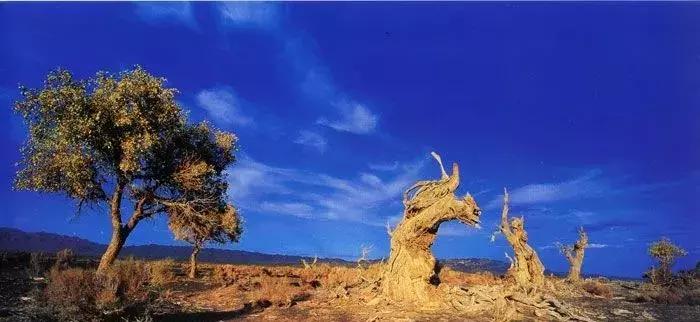 中国六十年代观影最多的电影,18年震撼中国十大瞬间