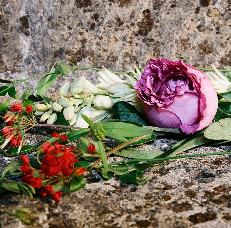 gucci古驰flora经典花之舞女士香水,guccipourhommeii男性淡香水