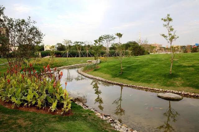 深圳花海公园地址在哪里,深圳中心河公园花海