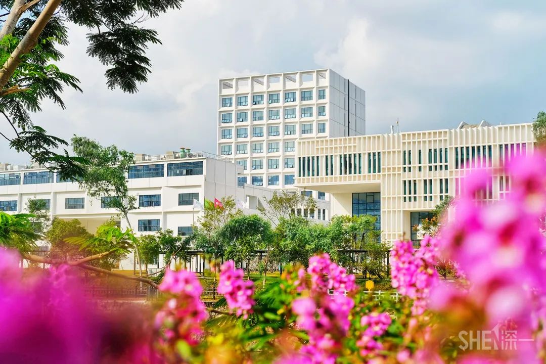 深圳30个经典片区,深圳这座城市承载了太多回忆