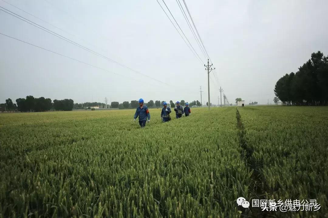 新乡故事：陌生人来电话要找辉县这四个人