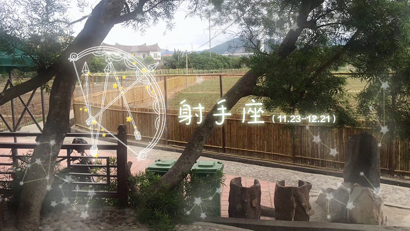 天蝎座和金牛座容易发生什么矛盾,金牛座天蝎座懒得吵架懒得沟通