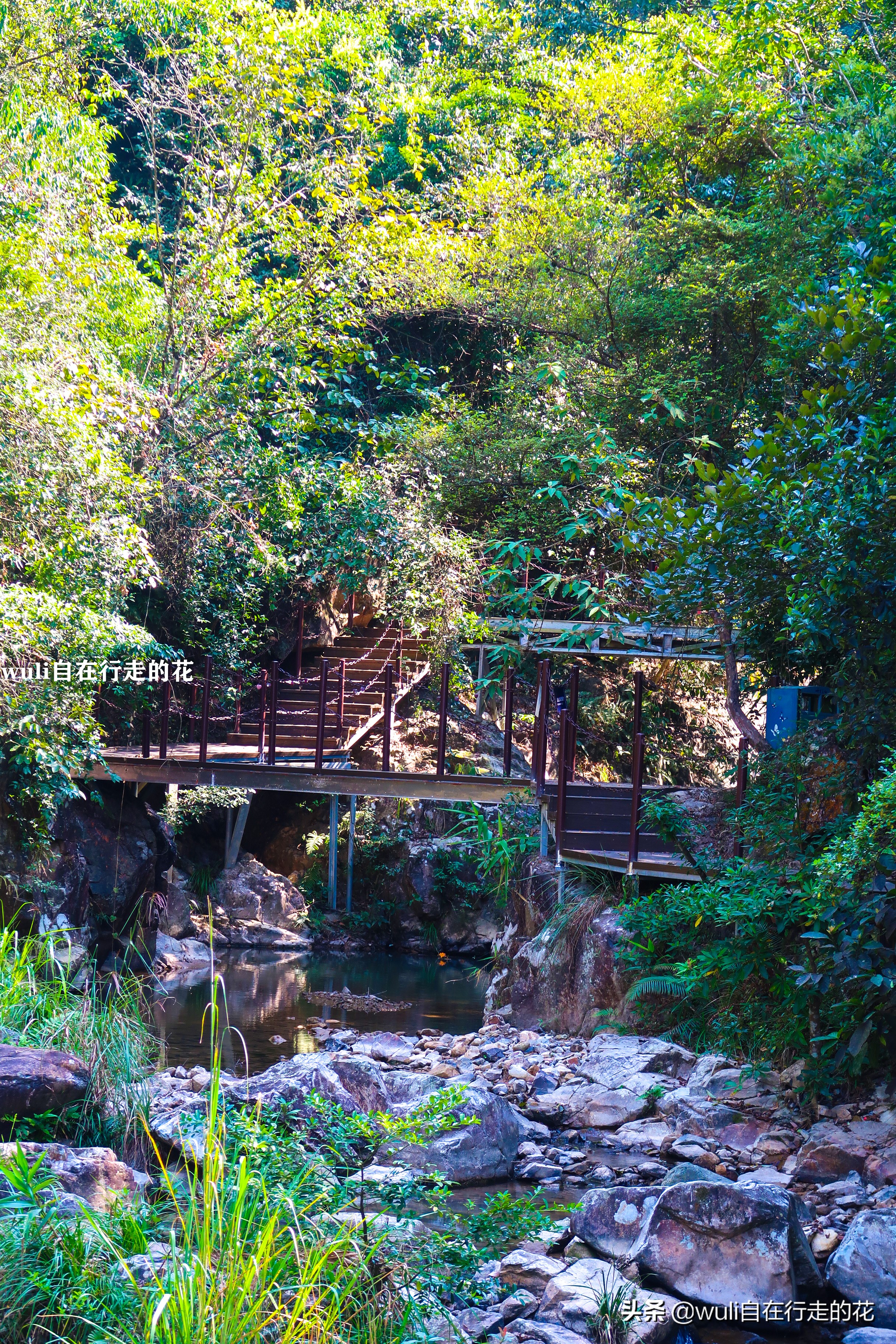 长泰县十里蓝山,漳州长泰十里蓝山攻略