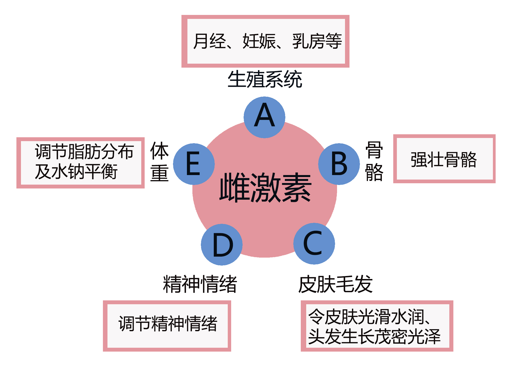 卵巢早衰吃雌激素能延缓衰老吗,雌激素降低卵巢早衰怎么做比较好