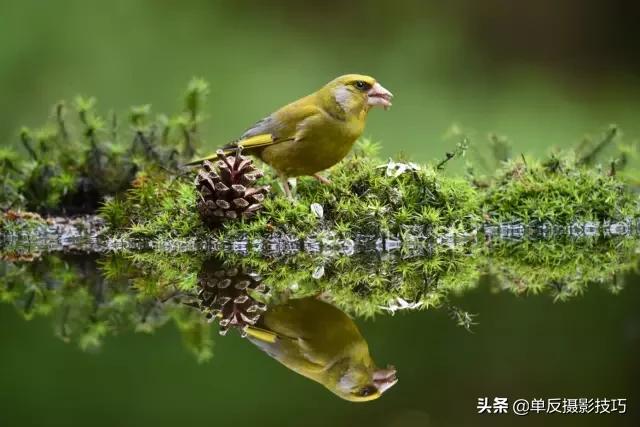 比较好的长焦镜头,关于摄影必须知道的