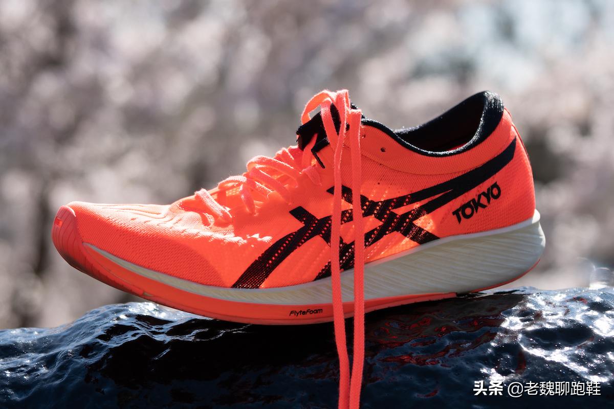从入门到竞速，今年双11的四大跑鞋，有哪些值得入手的型号？