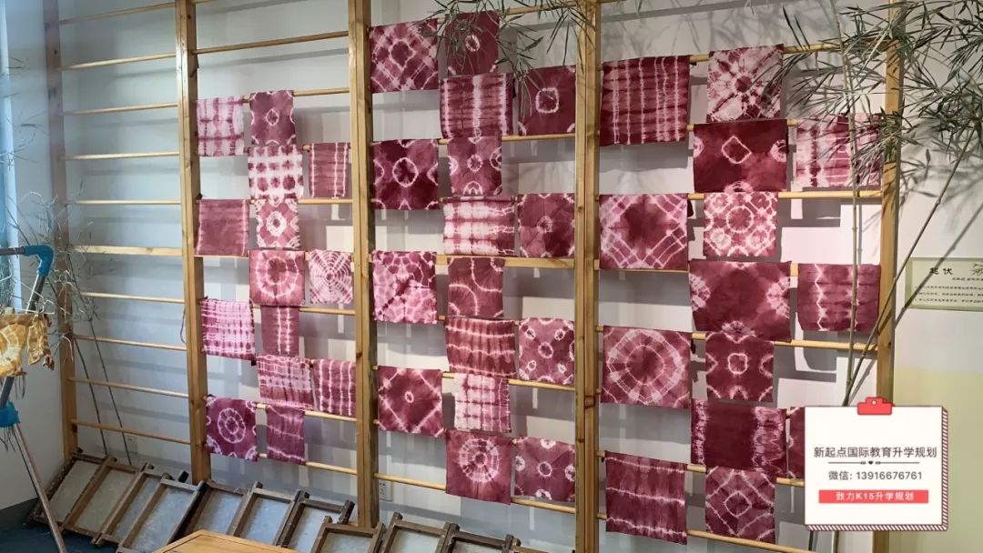 上海宋庆龄国际学校高中开设课程,国际教育探校