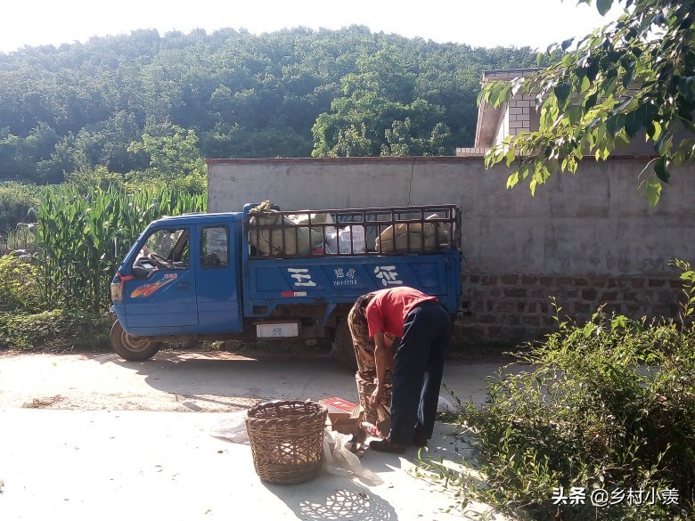 在农村不想回城里,农村做这三种生意要改行