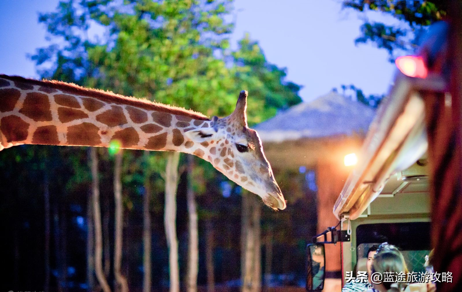 清迈美食,泰国清迈美食推荐