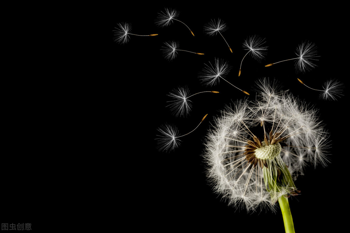 免费盈利新模式,一个月赚200万的商业模式