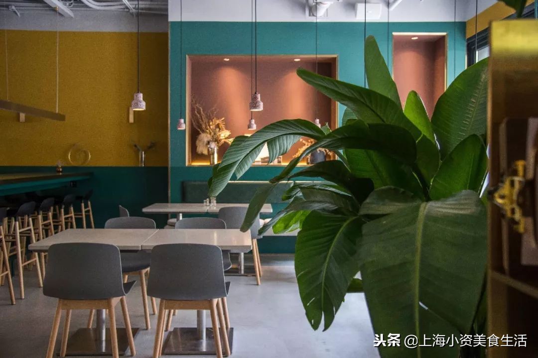 大锦鲤top店,大锦鲤适合吃的鱼食