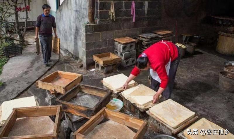 本港台播放过的动画,本港台曾经推出的纪录片