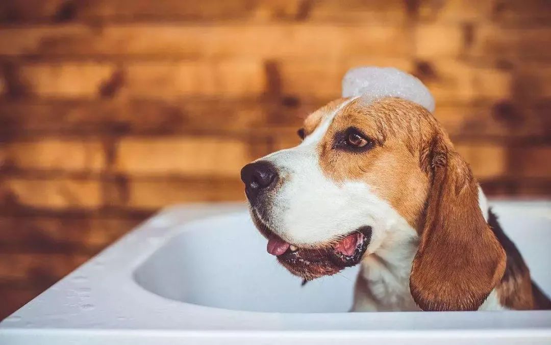 生意参谋标准版免费吗,生意参谋标准版怎么看数据