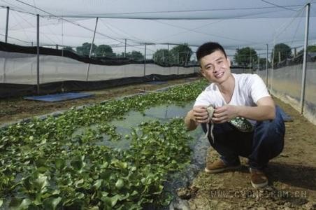 28岁年销900万90后养青蛙致富,大学生回乡养蛙年入4000万