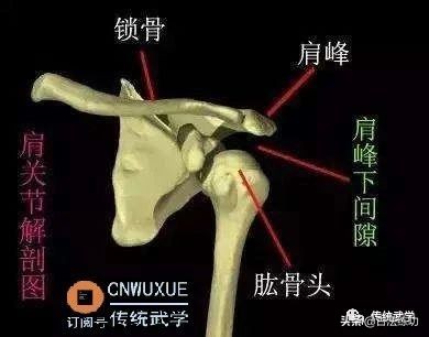 咋样正确放松关节,各个关节的放松