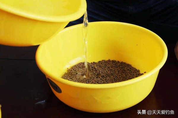钓鱼颗粒的正确使用方法,钓鱼商品饵怎么拌好