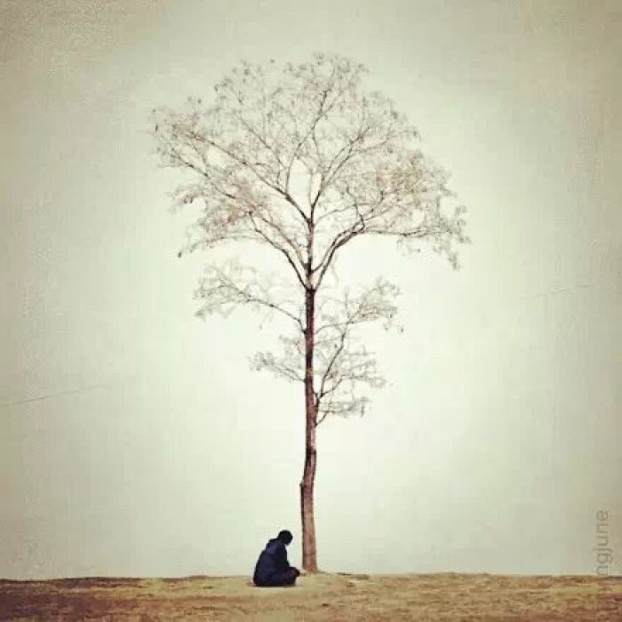 不同时期沈从文人性美的文化隐喻,沈从文小说中的爱情悲剧