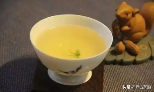 茶叶梗多的茶好吗,究竟是什么茶如此难泡