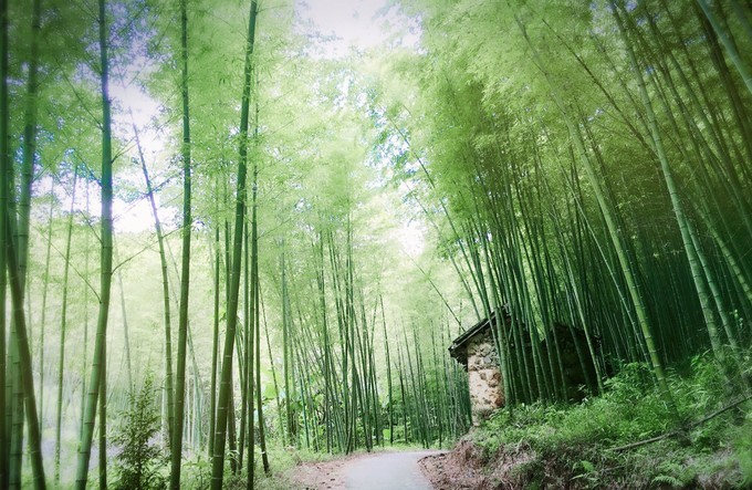 从化溪头自驾游视频,从化溪头村一日游路线