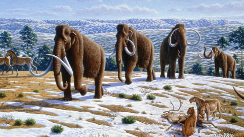 55万吨，价值5000亿美元，一种灰色产业链在俄罗斯出现！